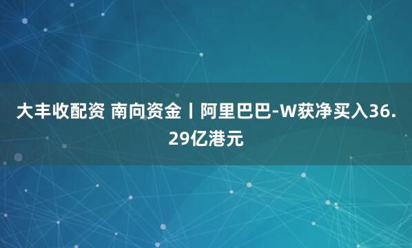 大丰收配资 南向资金丨阿里巴巴-W获净买入36.29亿港元