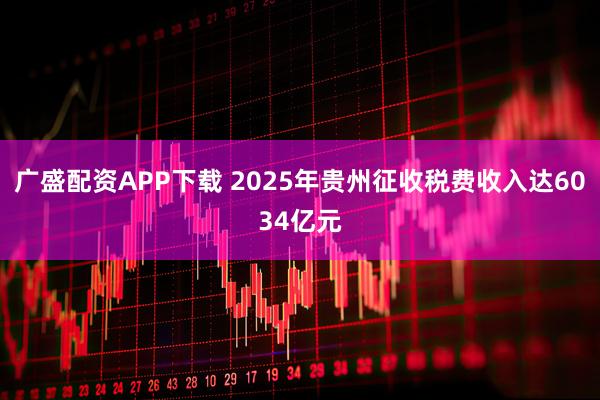 广盛配资APP下载 2025年贵州征收税费收入达6034亿元